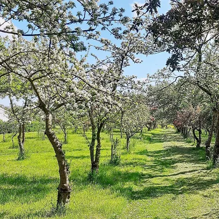 Tatil Evi Holiday Xcvi Sæby